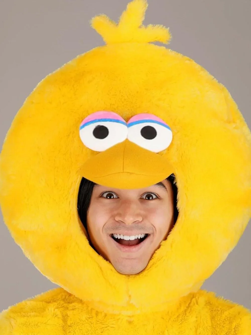 Big Bird Halloween Costume for Adults | Cartoon Character Outfit with Tunic